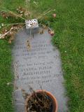 image of grave number 530497